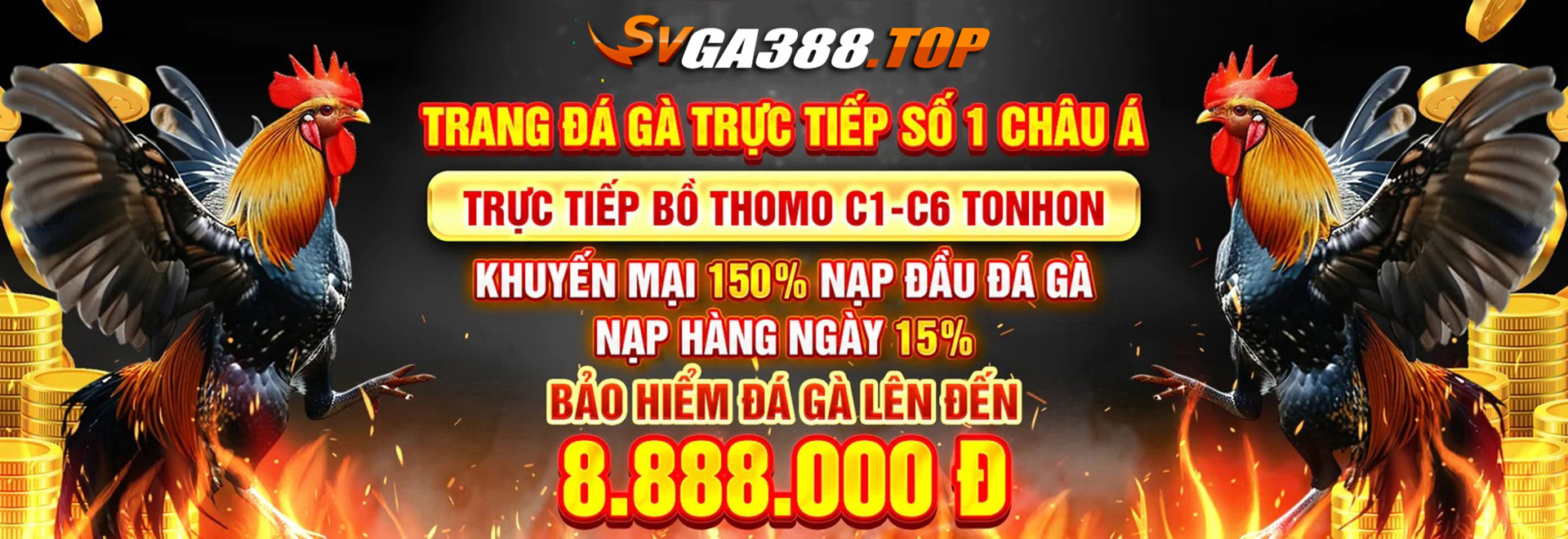 banner-svga388-top